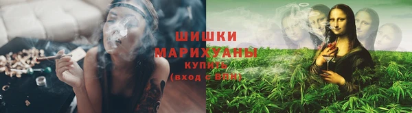 мдпв Горнозаводск