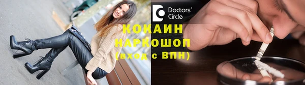 твердый Арсеньев