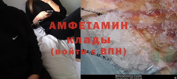 твердый Арсеньев